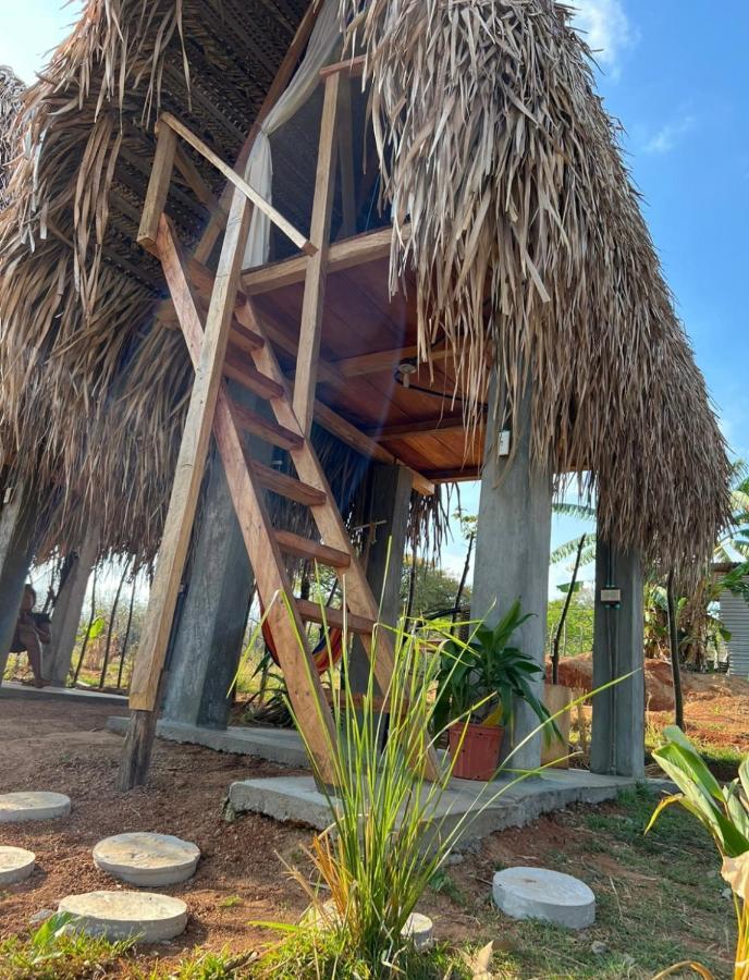 Sasy Tipis Hotell Santa Catalina Exteriör bild